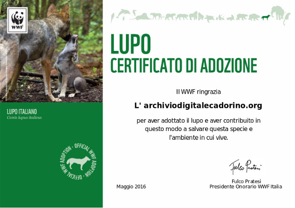 Canis lupus
